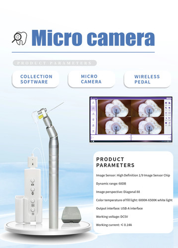 Micro telecamera intraorale